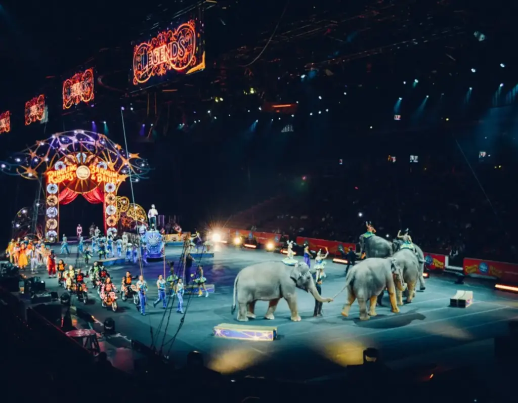 East Sussex School of Circus Arts