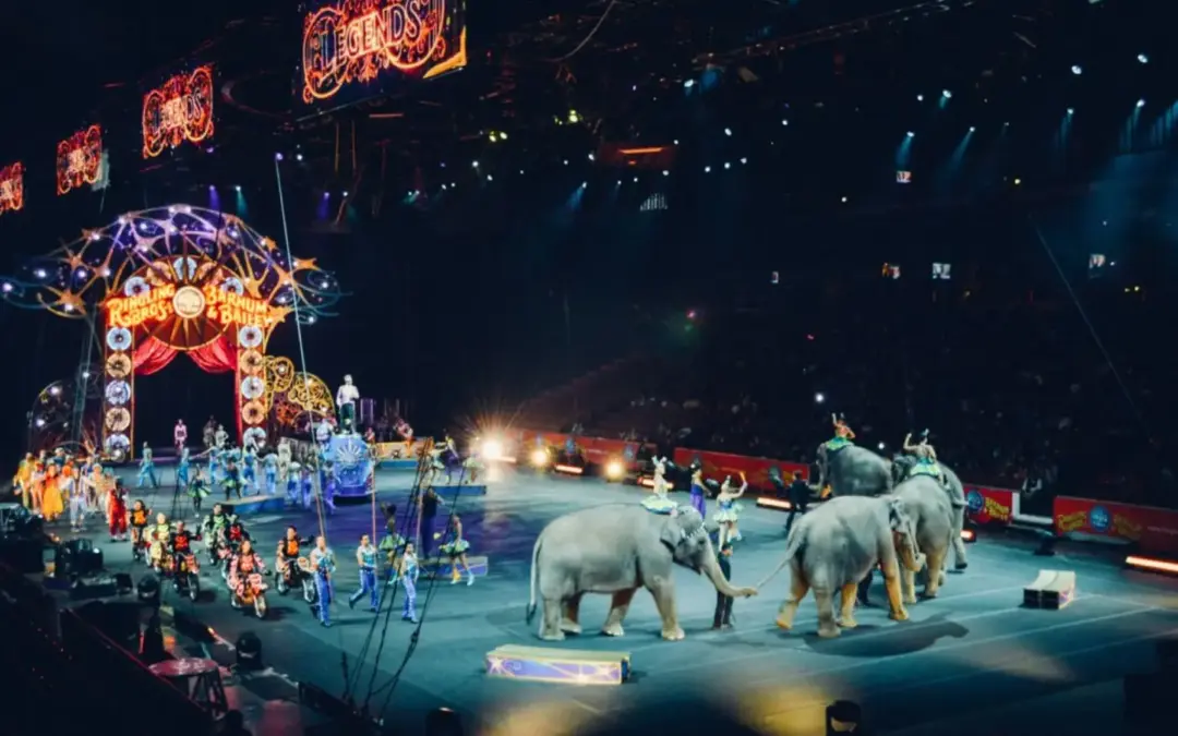 East Sussex School of Circus Arts